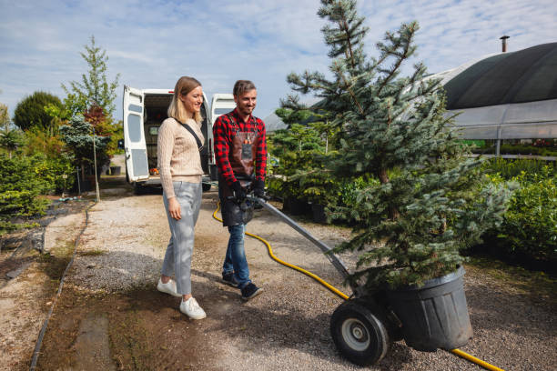 Best Tree Trimming and Pruning  in USA